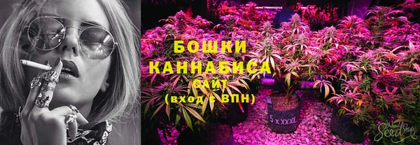 гидра Киреевск