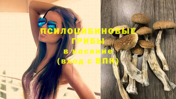 альфа пвп Козельск