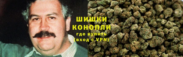 гидра Киреевск
