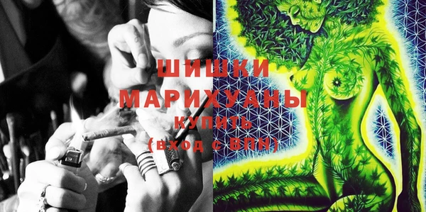 мдпв Кинешма