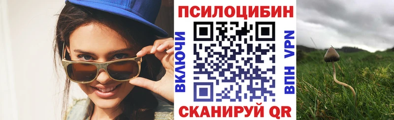 Галлюциногенные грибы Psilocybine cubensis  Купить  Волгоград 